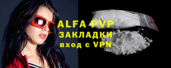стаф Баксан