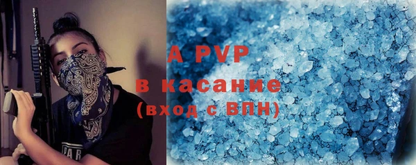 стаф Баксан