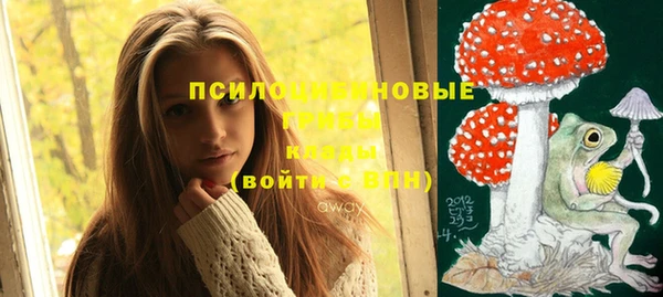 стаф Баксан