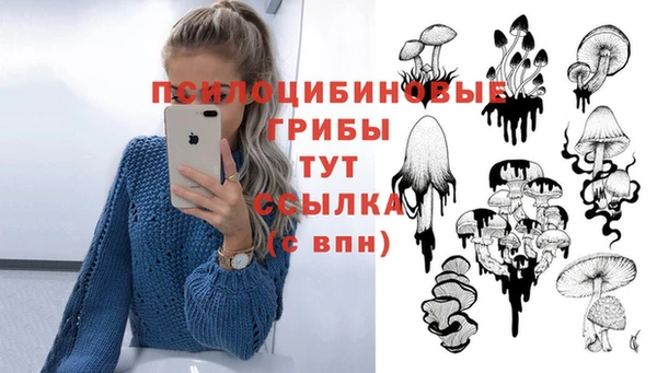 стаф Баксан