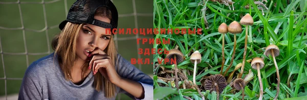 стаф Баксан