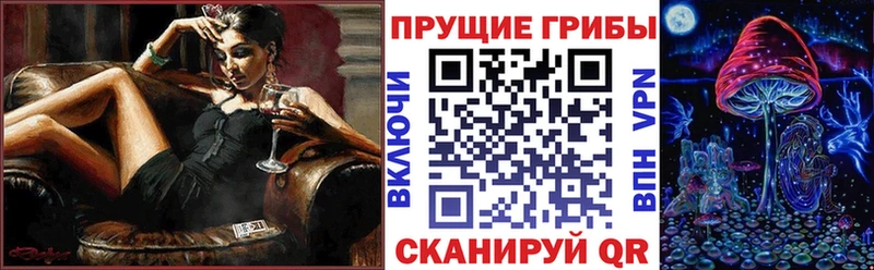 купить наркотики сайты  нарко площадка Telegram  Псилоцибиновые грибы MAGIC MUSHROOMS  Таштагол 